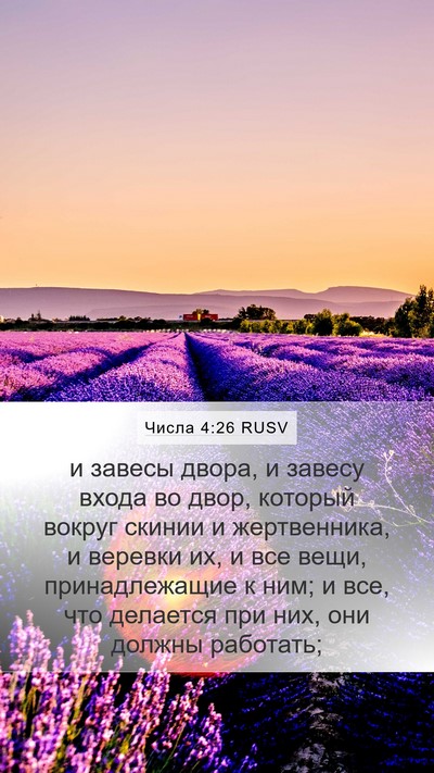 Числа 4:26 RUSV Mobile Phone Wallpaper - и завесы двора, и завесу - Mobile Bible Verse Wallpaper