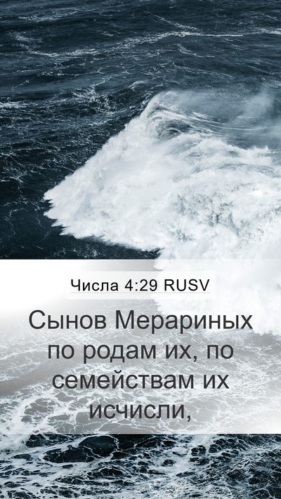 Числа 4:29 RUSV Bible Verse Image