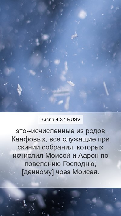 Числа 4:37 RUSV Bible Verse Image