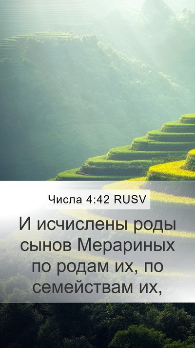 Числа 4:42 RUSV Mobile Phone Wallpaper - И исчислены роды сынов - Mobile Bible Verse Wallpaper