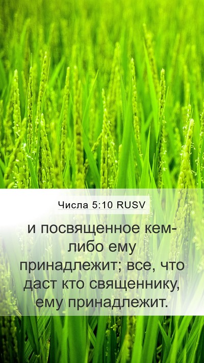 Числа 5:10 RUSV Mobile Phone Wallpaper - и посвященное кем-либо ему - Mobile Bible Verse Wallpaper
