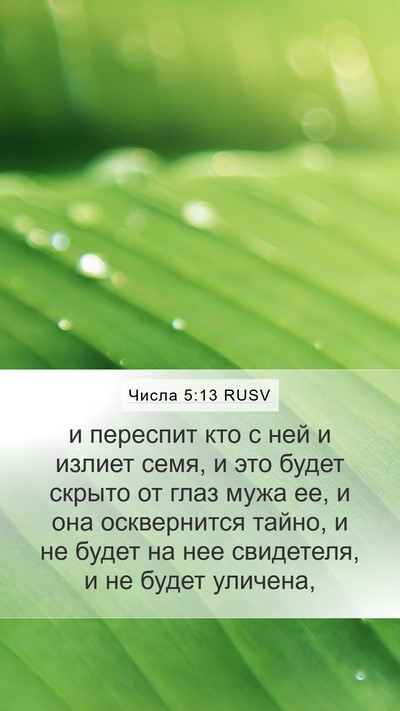 Числа 5:13 RUSV Mobile Phone Wallpaper - и переспит кто с ней и - Mobile Bible Verse Wallpaper