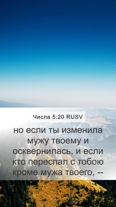 Числа 5:20 RUSV Bible Verse Image