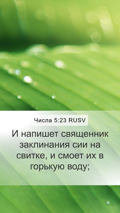 Числа 5:23 RUSV Bible Verse Image
