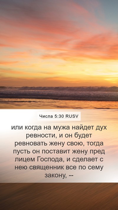 Числа 5:30 RUSV Bible Verse Image