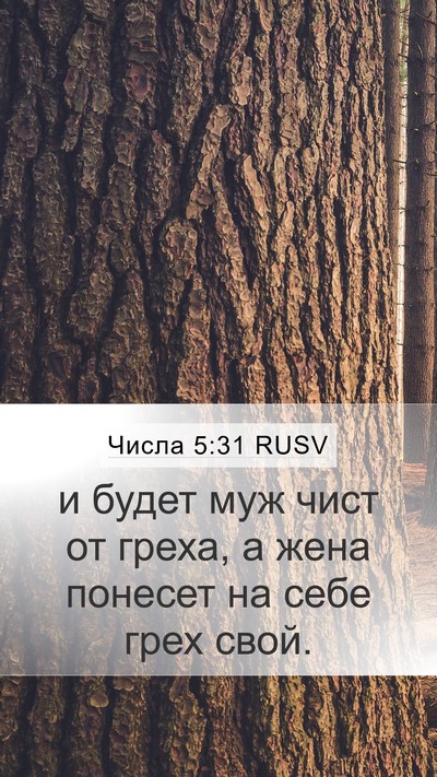 Числа 5:31 RUSV Bible Verse Image
