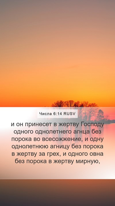 Числа 6:14 RUSV Bible Verse Image