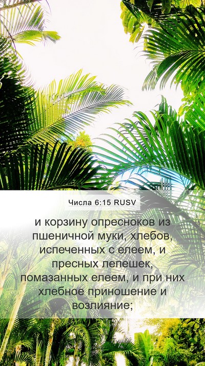 Числа 6:15 RUSV Bible Verse Image