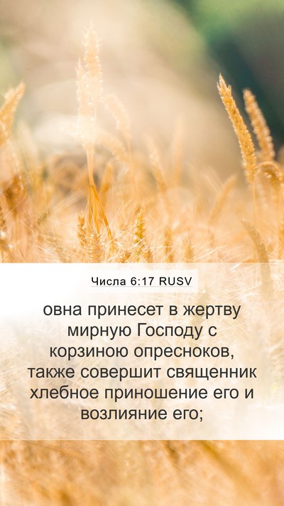 Числа 6:17 RUSV Bible Verse Image