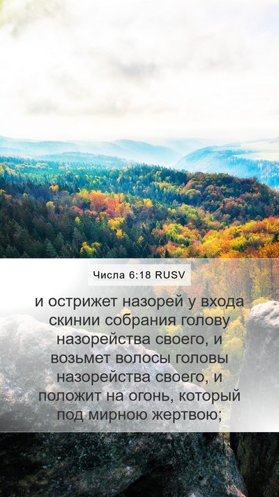 Числа 6:18 RUSV Bible Verse Image