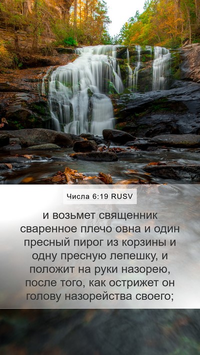 Числа 6:19 RUSV Mobile Phone Wallpaper - и возьмет священник - Mobile Bible Verse Wallpaper