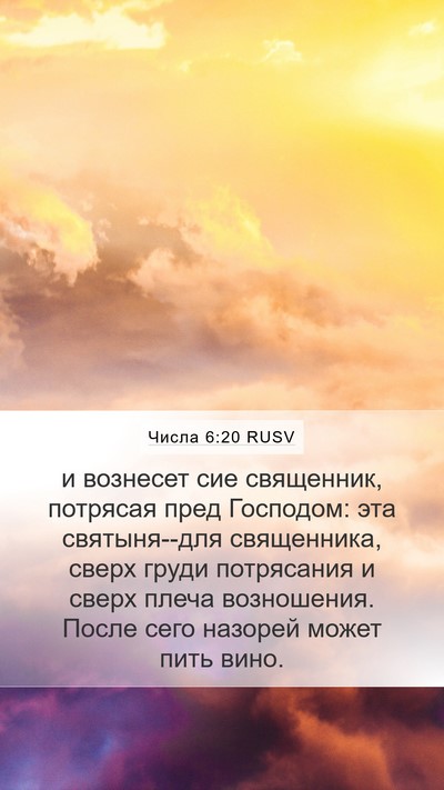 Числа 6:20 RUSV Bible Verse Image