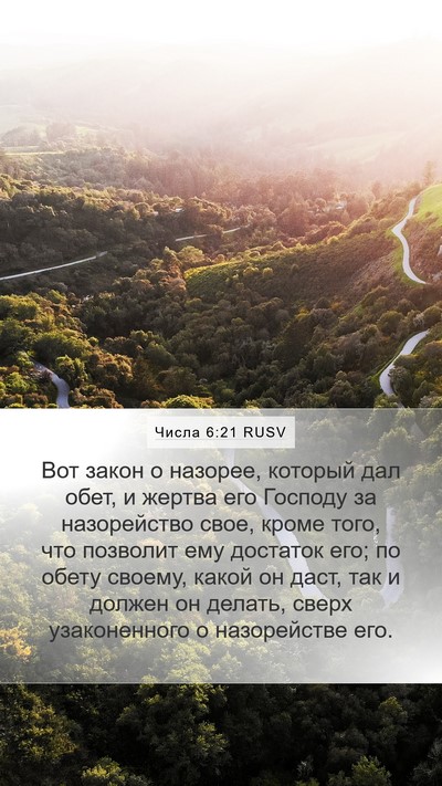 Числа 6:21 RUSV Bible Verse Image