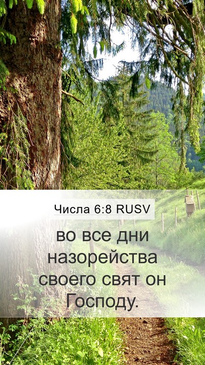 Числа 6:8 RUSV Bible Verse Image