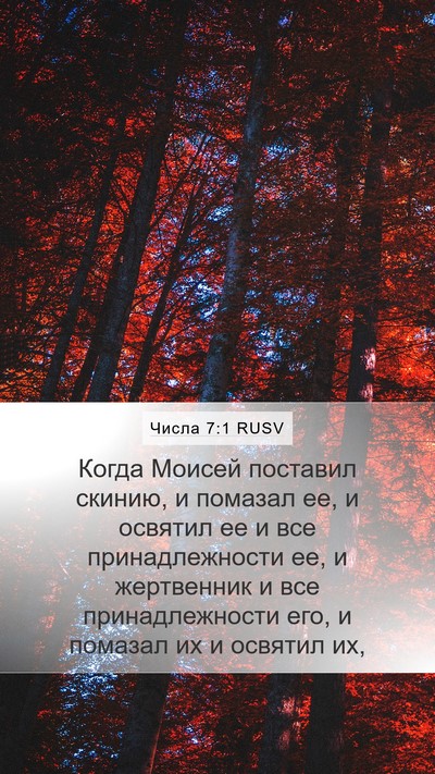 Числа 7:1 RUSV Bible Verse Image