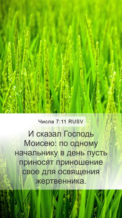 Числа 7:11 RUSV Mobile Phone Wallpaper - И сказал Господь Моисею: по - Mobile Bible Verse Wallpaper
