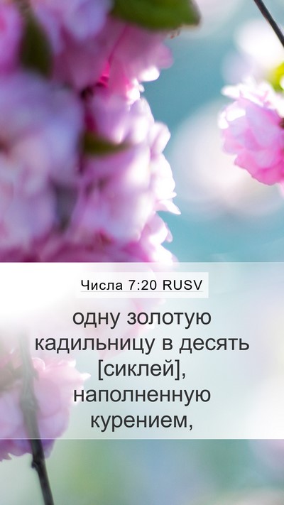 Числа 7:20 RUSV Mobile Phone Wallpaper - одну золотую кадильницу в - Mobile Bible Verse Wallpaper