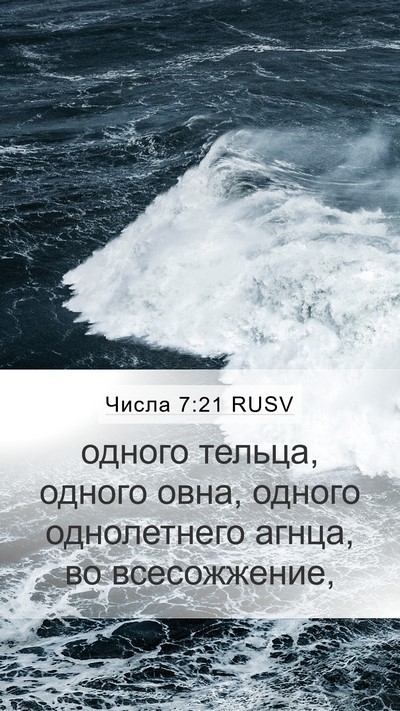 Числа 7:21 RUSV Mobile Phone Wallpaper - одного тельца, одного овна, - Mobile Bible Verse Wallpaper