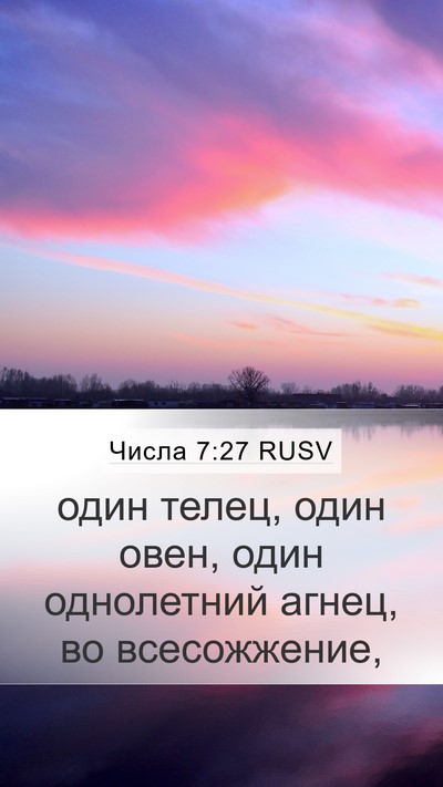 Числа 7:27 RUSV Bible Verse Image