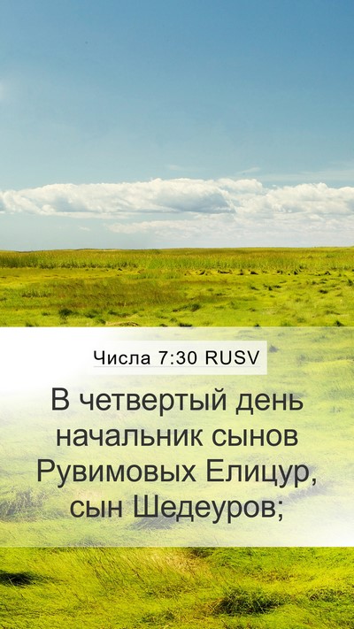 Числа 7:30 RUSV Bible Verse Image