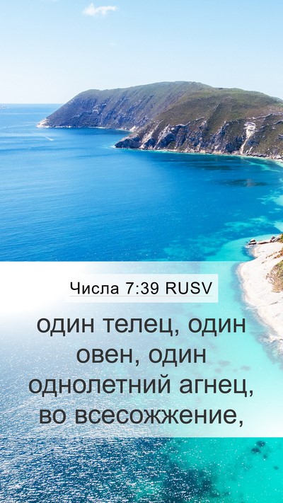 Числа 7:39 RUSV Mobile Phone Wallpaper - один телец, один овен, один - Mobile Bible Verse Wallpaper