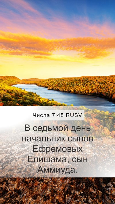 Числа 7:48 RUSV Bible Verse Image
