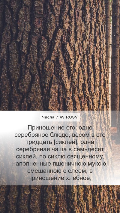 Числа 7:49 RUSV Mobile Phone Wallpaper - Приношение его: одно - Mobile Bible Verse Wallpaper