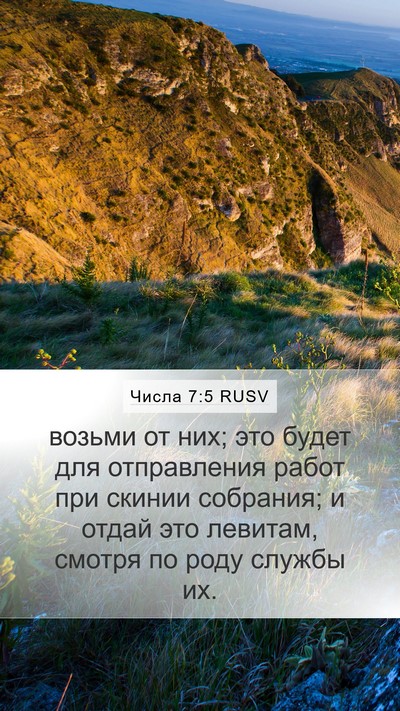 Числа 7:5 RUSV Mobile Phone Wallpaper - возьми от них; это будет - Mobile Bible Verse Wallpaper