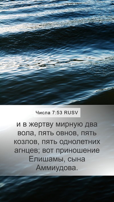 Числа 7:53 RUSV Bible Verse Image