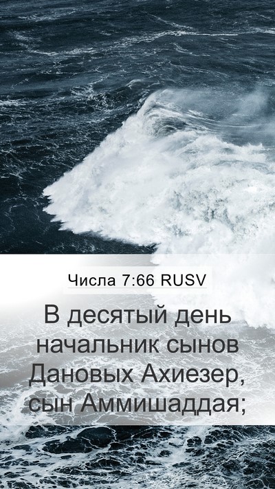 Числа 7:66 RUSV Bible Verse Image