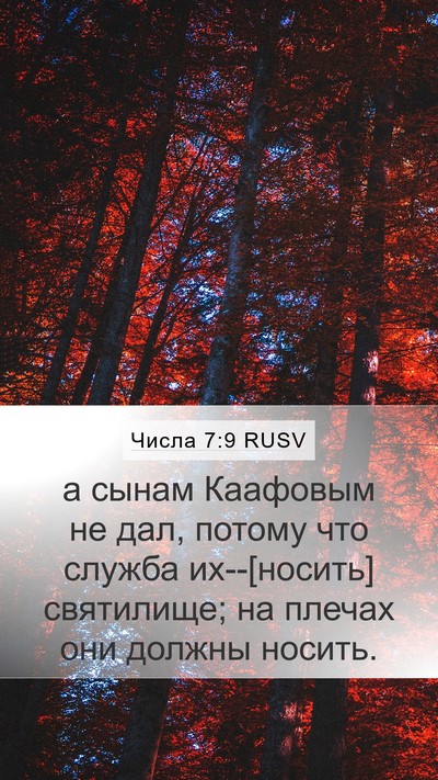 Числа 7:9 RUSV Mobile Phone Wallpaper - а сынам Каафовым не дал, - Mobile Bible Verse Wallpaper