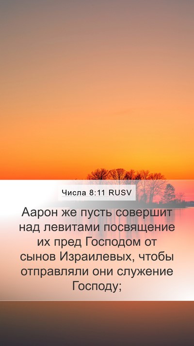 Числа 8:11 RUSV Bible Verse Image