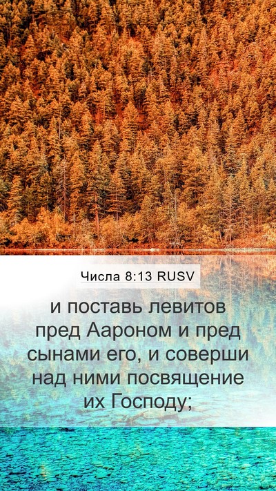 Числа 8:13 RUSV Mobile Phone Wallpaper - и поставь левитов пред - Mobile Bible Verse Wallpaper