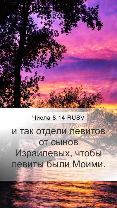 Числа 8:14 RUSV Mobile Phone Wallpaper - и так отдели левитов от - Mobile Bible Verse Wallpaper