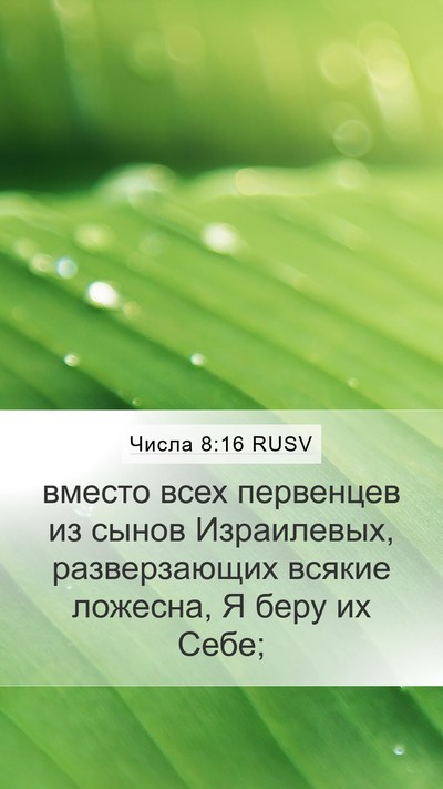 Числа 8:16 RUSV Bible Verse Image
