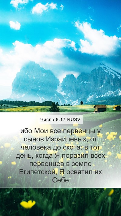 Числа 8:17 RUSV Mobile Phone Wallpaper - ибо Мои все первенцы у - Mobile Bible Verse Wallpaper