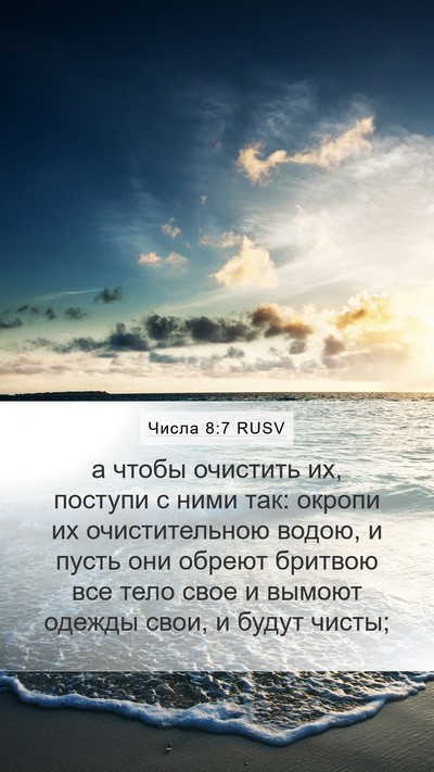 Числа 8:7 RUSV Mobile Phone Wallpaper - а чтобы очистить их, - Mobile Bible Verse Wallpaper