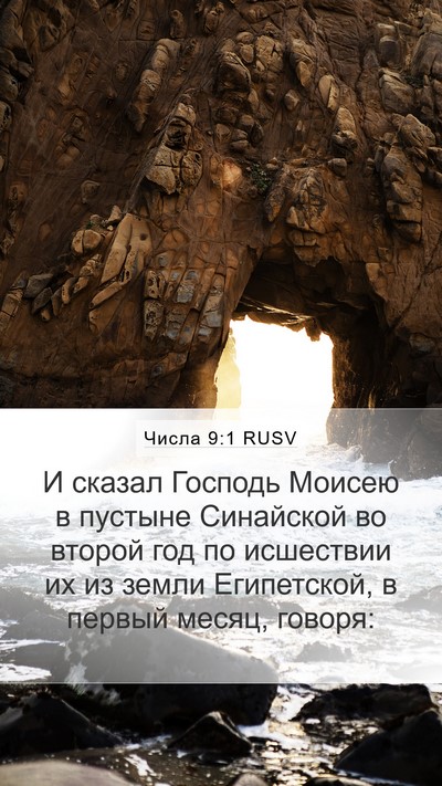 Числа 9:1 RUSV Bible Verse Image