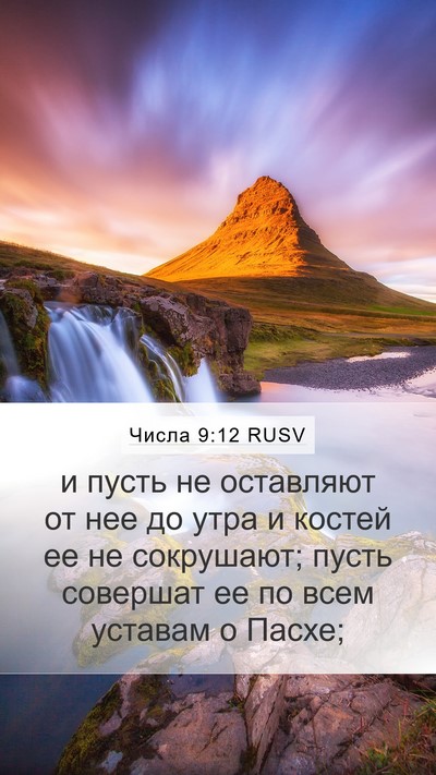 Числа 9:12 RUSV Mobile Phone Wallpaper - и пусть не оставляют от нее - Mobile Bible Verse Wallpaper