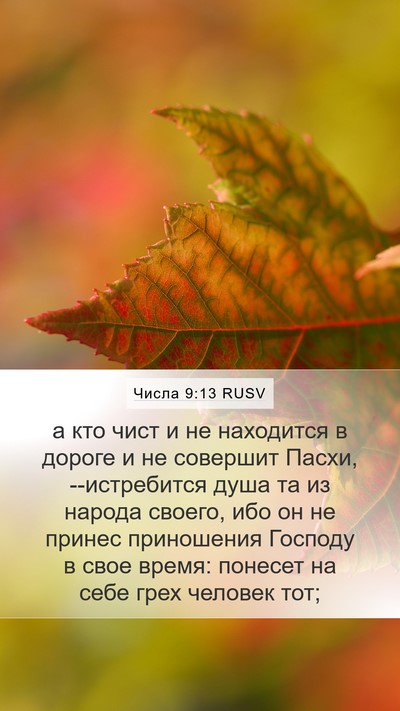 Числа 9:13 RUSV Mobile Phone Wallpaper - а кто чист и не находится в - Mobile Bible Verse Wallpaper