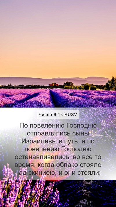 Числа 9:18 RUSV Bible Verse Image