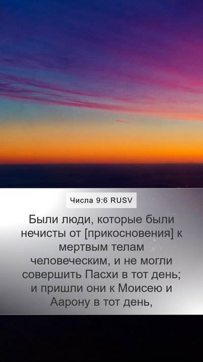 Числа 9:6 RUSV Bible Verse Image
