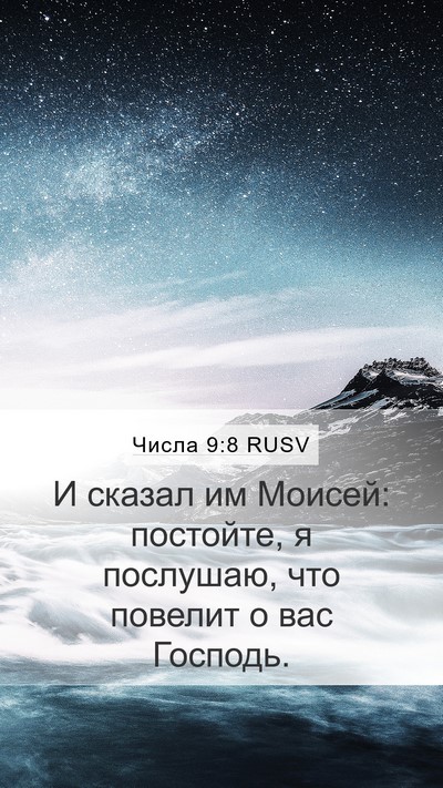 Числа 9:8 RUSV Mobile Phone Wallpaper - И сказал им Моисей: - Mobile Bible Verse Wallpaper