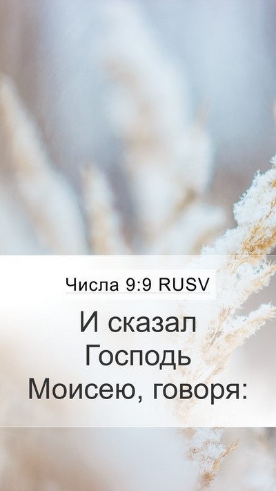 Числа 9:9 RUSV Mobile Phone Wallpaper - И сказал Господь Моисею, - Mobile Bible Verse Wallpaper